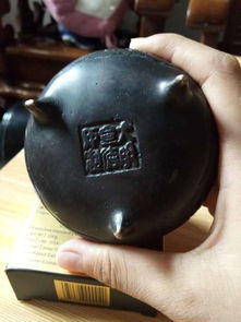 上海文物鑒定服務與活動參與指南
